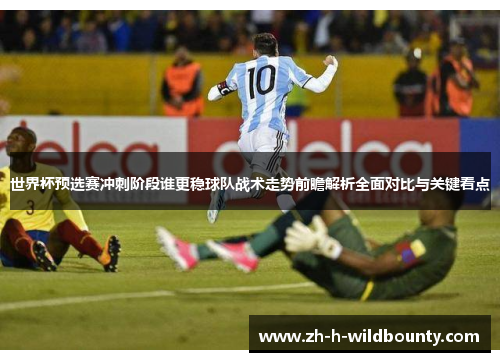 世界杯预选赛冲刺阶段谁更稳球队战术走势前瞻解析全面对比与关键看点