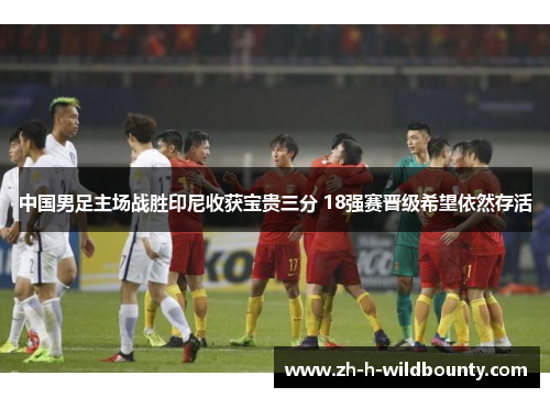 中国男足主场战胜印尼收获宝贵三分 18强赛晋级希望依然存活 中国男足主场战胜印尼收获宝贵三分 18强赛晋级希望依然存活