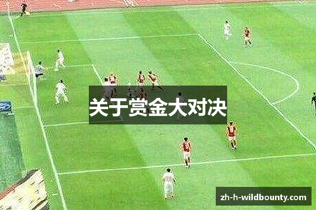 关于赏金大对决